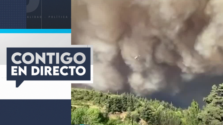 Incendios forestales en O’Higgins y Maule siguen activos: Han consumido 3 mil hectáreas