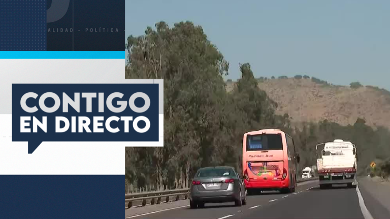 Piden evacuar los sectores de Sarmiento y Callejón Santa Julia en Curicó por incendio forestal