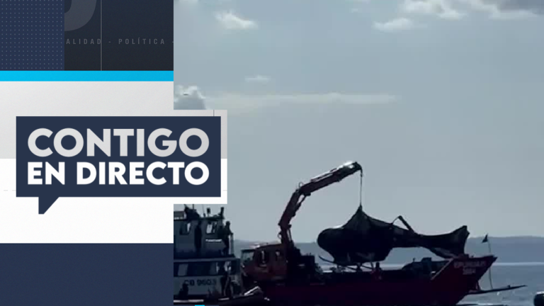 Análisis podría durar ocho meses: DGAC inició peritajes al helicóptero de Sebastián Piñera