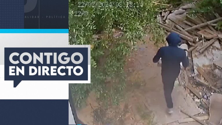 Delincuentes golpearon a conductor de camión para robar una tonelada de carne