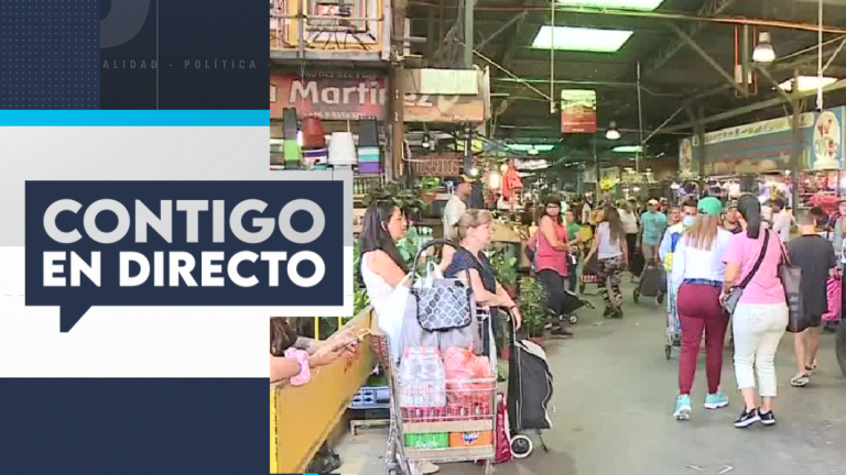 Locatarios de La Vega presentan recurso en contra del alcalde Daniel Jadue