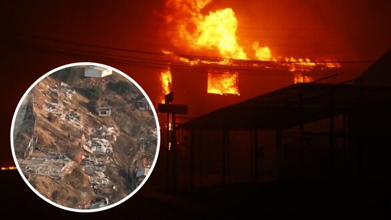 Con pérdida total: Así quedó el devastado sector de El Olivar tras paso de incendio