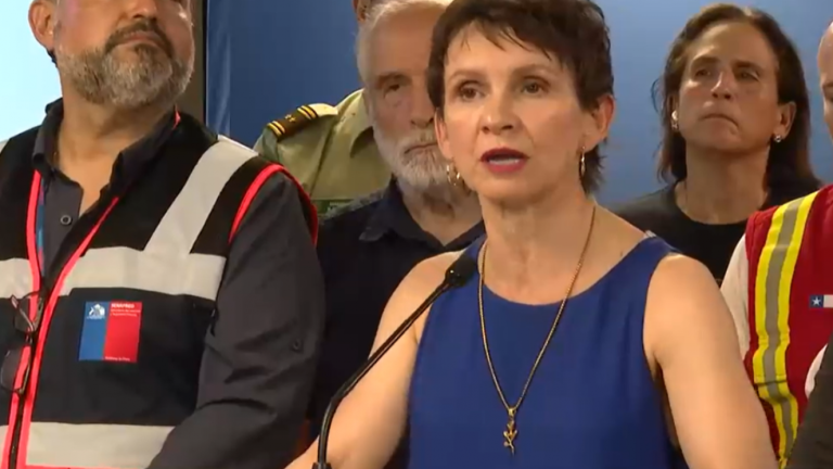 Carolina Tohá advirtió que origen de los incendios “podría haber sido intencional”