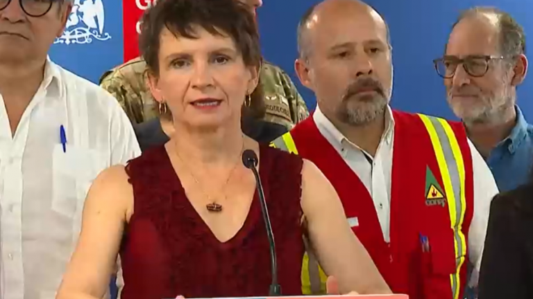 Tohá por incendios forestales: Se mantiene toque de queda y hay más de mil soldados desplegados