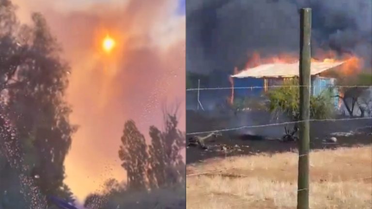 San Javier, Retiro y Parral en alerta roja por incendios forestales: Sectores están siendo evacuados