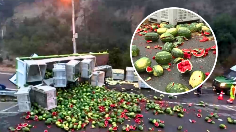 Cientos de sandías perdidas: Cargamento de camión volcado obstaculiza camino a Viña