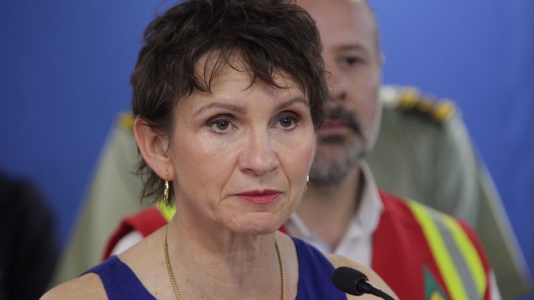 Incendios forestales: Ministra Tohá detalló cómo se entregarán los bonos para damnificados de Viña del Mar