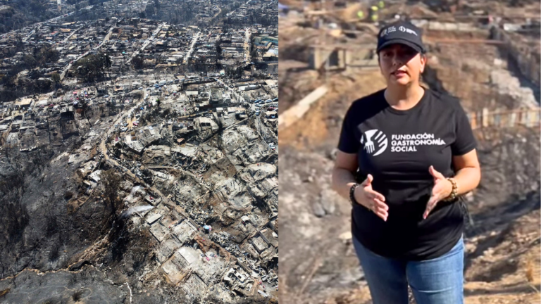 Chef Fernanda Fuentes pidió ayudar a damnificados por incendios: 