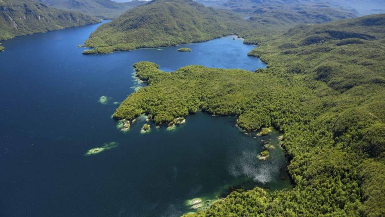 Venden isla virgen en el sur de Chile: ¿Cómo es, cuánto cuesta y qué características tiene?