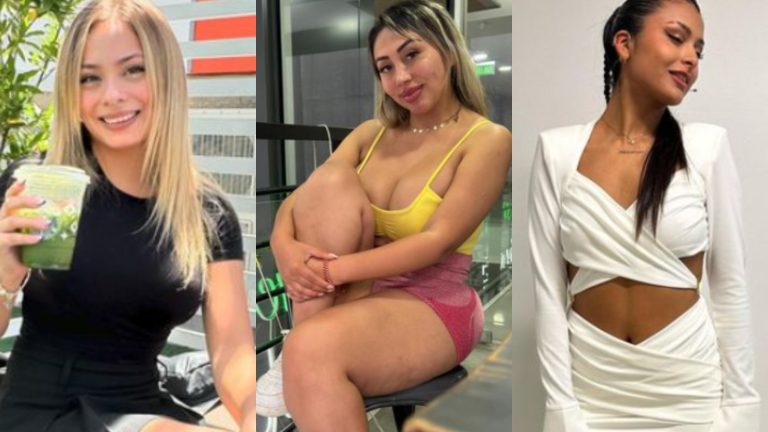 Festival de Viña 2024: Este es el itinerario de los embajadores