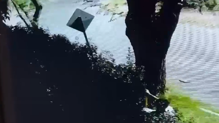 VIDEO | Vecinos de La Reina preocupados por residente que disparó a una señalética