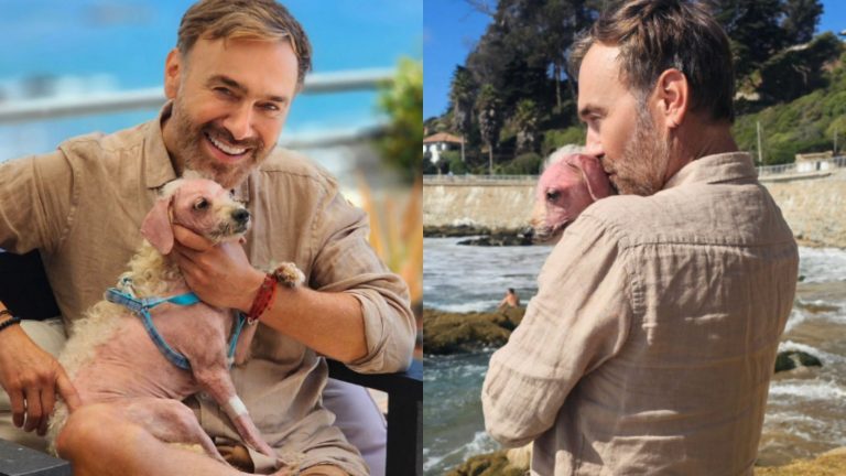 Jordi Castell adoptó una perrita quemada en incendios de Viña y la llamó como icónica cantante