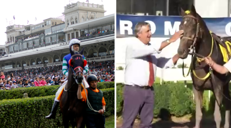 Investigan suplantación de yegua de Kike Morandé en Club Hípico de Santiago: Intervino ministro de Hacienda