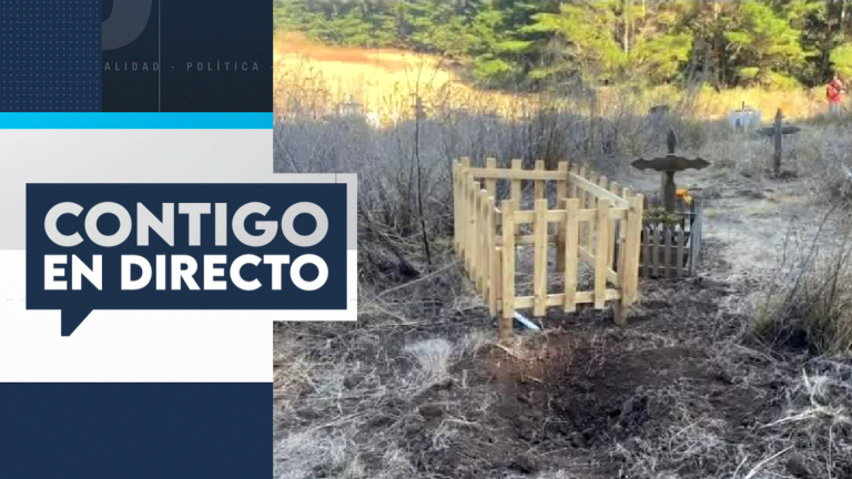 Mujer habría enterrado a recién nacido en cementerio de perros en Talcahuano