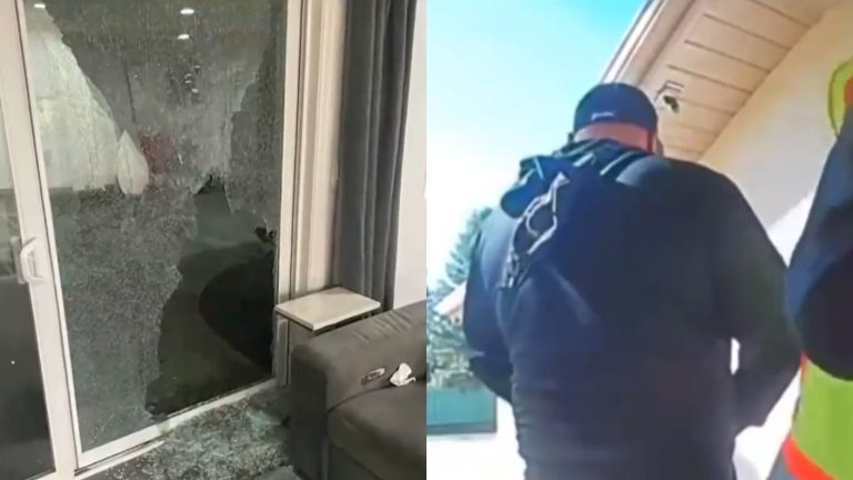 Policía de EE.UU. incorporará equipo especializado para el combate contra bandas latinas: Mayoría son chilenas