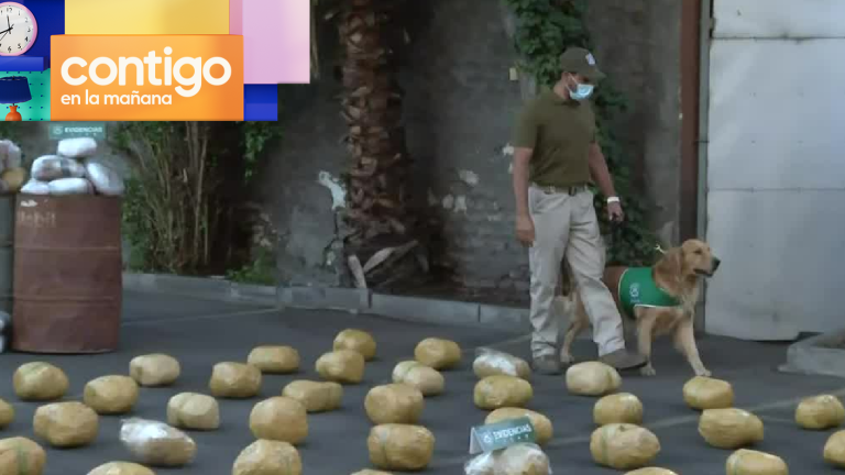 Operación del OS7 de Carabineros terminó con incautación de 300 kilos de droga