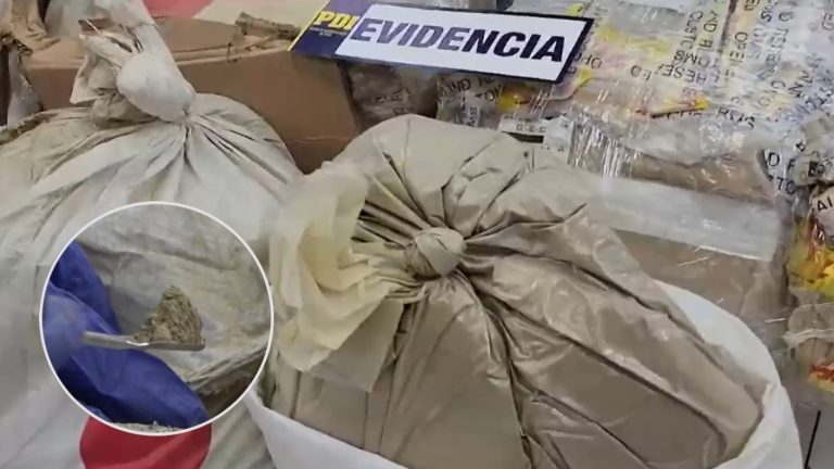 PDI incautó 261 kilos: Alertan presencia de Kratom, la nueva droga 