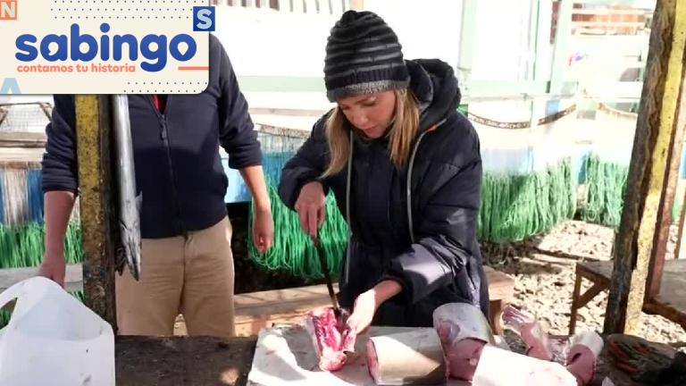 De Mar a Cordillera: Emilia Daiber se adentró en la Caleta Puerto Viejo