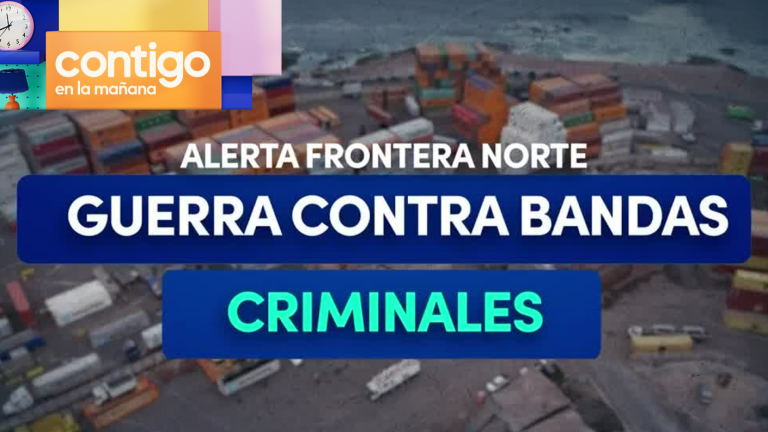 Armas, animales exóticos y drogas: Así operan las mafias en controles fronterizos del norte