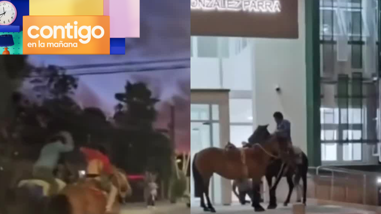 Video muestra insólita pelea entre jinetes en Longaví: Conflicto se inició tras competencia