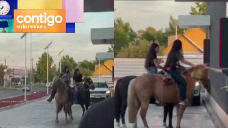 Jóvenes llegaron a comprar en caballos y se hicieron virales