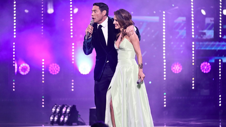 Este es el millonario monto recaudado en Viña 2024 para damnificados por incendio forestal