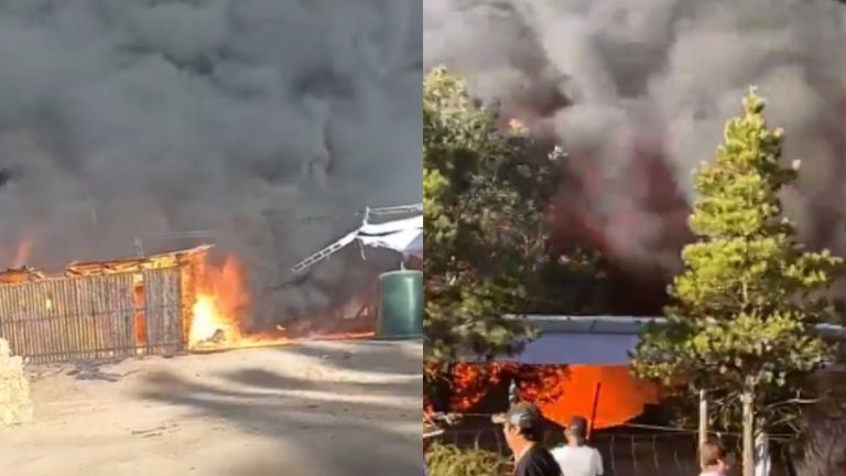 Reportan incendio en Fiesta de la Vendimia en Marchigüe