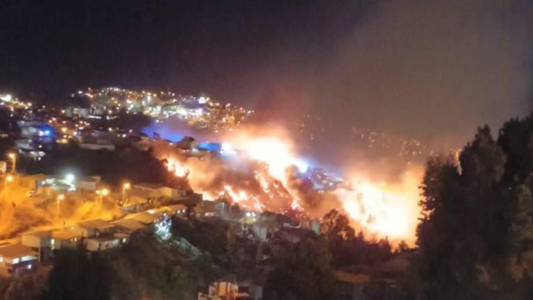 Al menos 10 casas habrían sido afectadas por incendio forestal en Cerro Cordillera de Valparaíso