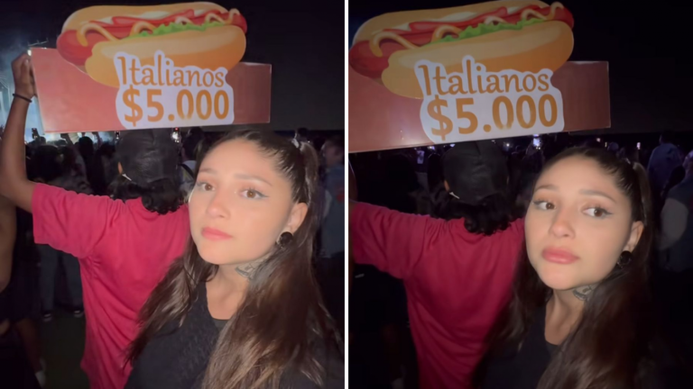 Con un canasto de completos: Vendedor tapó la visual de influencer en Lollapalooza 2024 y se hizo viral