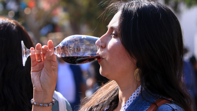 Fiesta de la Vendimia: ¿En qué consiste esta tradicional actividad vitivinícola?