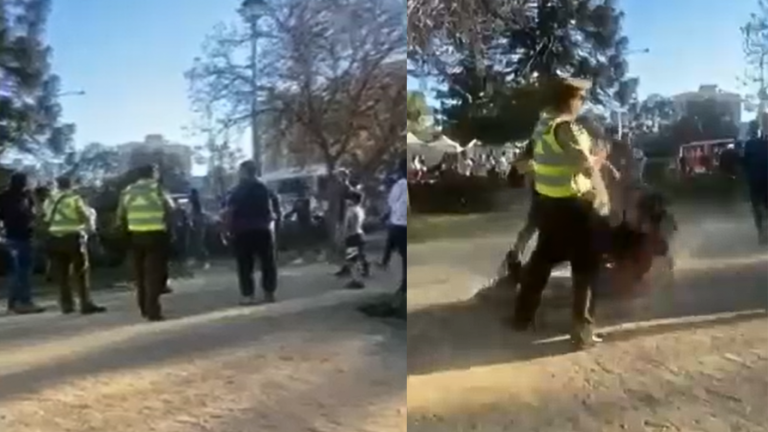 Insólito: Captan nula intervención de Carabineros presentes en impactante pelea en Viña del Mar