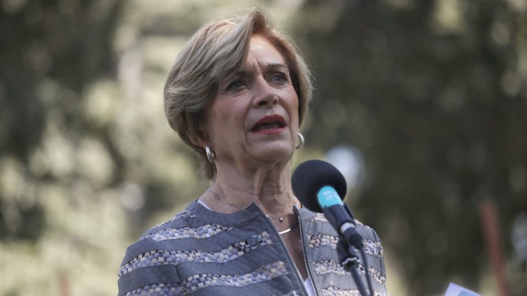 Evelyn Matthei no irá a la reelección en Providencia: 