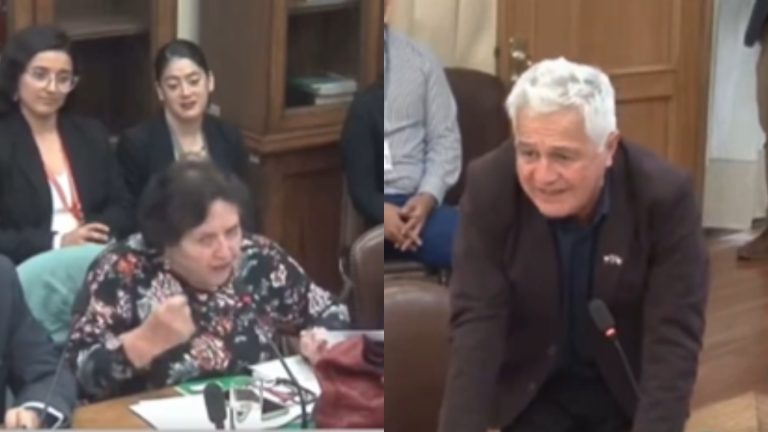 Critican a diputada Cordero por polémicos dichos sobre la esquizofrenia en Comisión de Salud