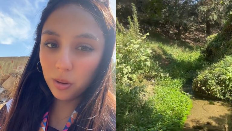 Censista contó que fue despedida tras video cruzando estero en Villa Alemana: 