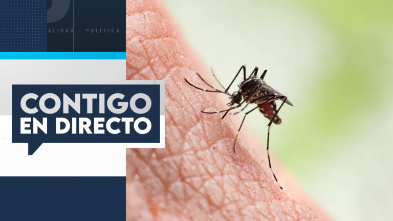 Preocupación por dengue en Chile: Registran 179 casos confirmados en el país
