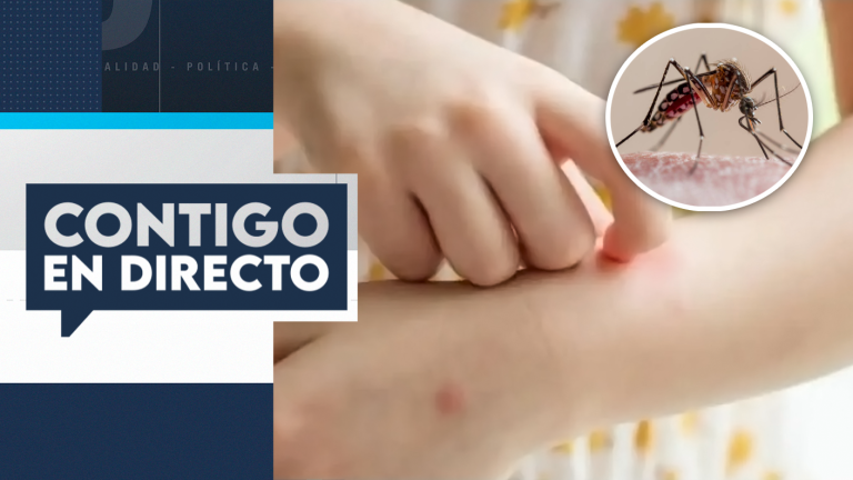 ¿Cuáles son los síntomas del dengue y cómo prevenir la presencia del mosquito?