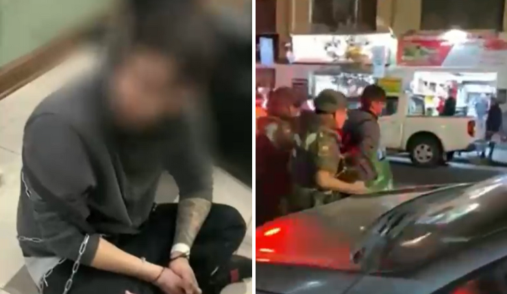 Cobarde ataque: Hombre lanzó a perro desde piso 12 de un edificio en Santiago Centro