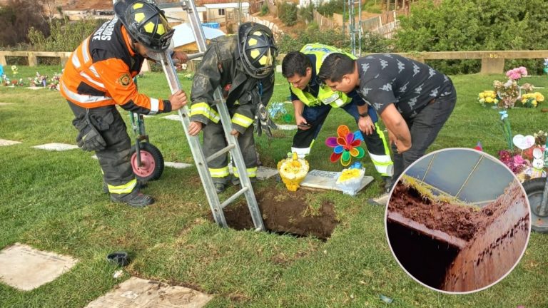 Joven cayó y pasó casi una hora sobre la tumba de su abuelo en el cementerio: “No llega nadie”