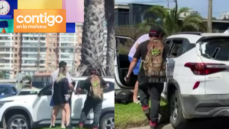 ¡Rápida reacción! Video muestra como turistas detuvieron a delincuente en Viña del Mar