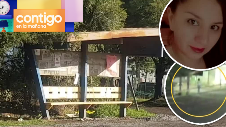 Madre desapareció en San Carlos: Video muestra sospechosa camioneta en el sector