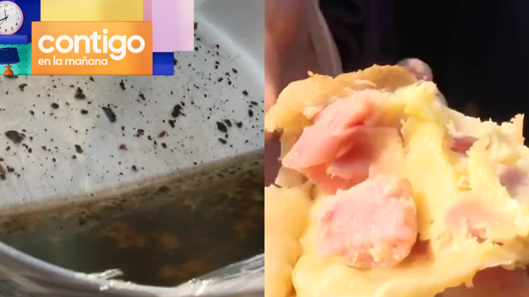 El insalubre hallazgo en medio de fiscalización a carros de comida en Recoleta