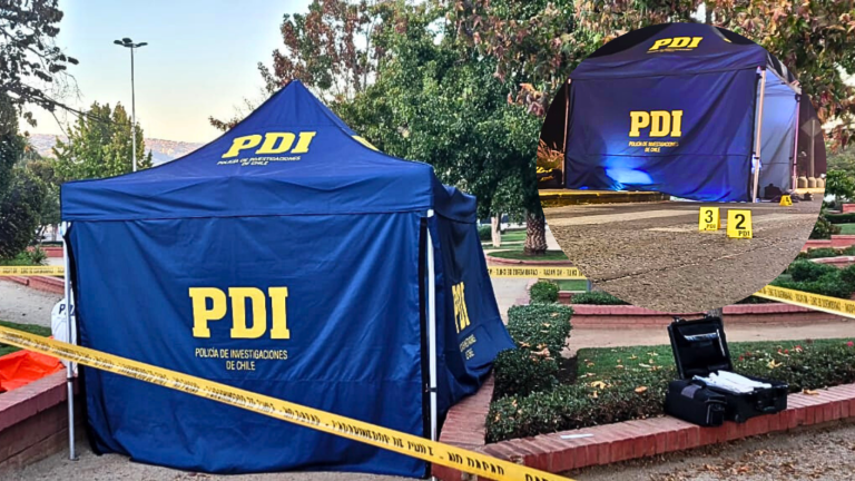 Con arma de fuego y cortopunzante: Dos macabros homicidios ocurrieron en la región de Valparaíso