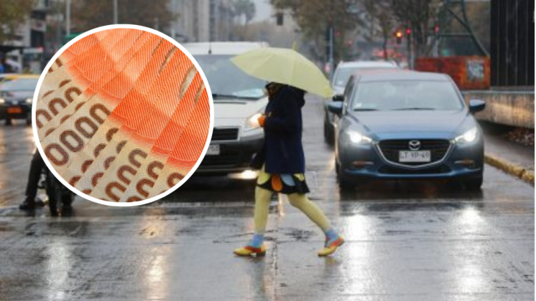 Bono Invierno 2024: Revisa con tu RUT cómo recibirlo y cuánto te corresponde