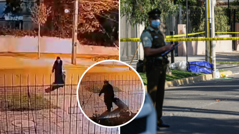 Revelan extrañas conductas de 