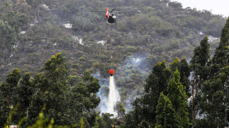 Senapred solicita evacuar sectores de La Araucanía por incendio forestal