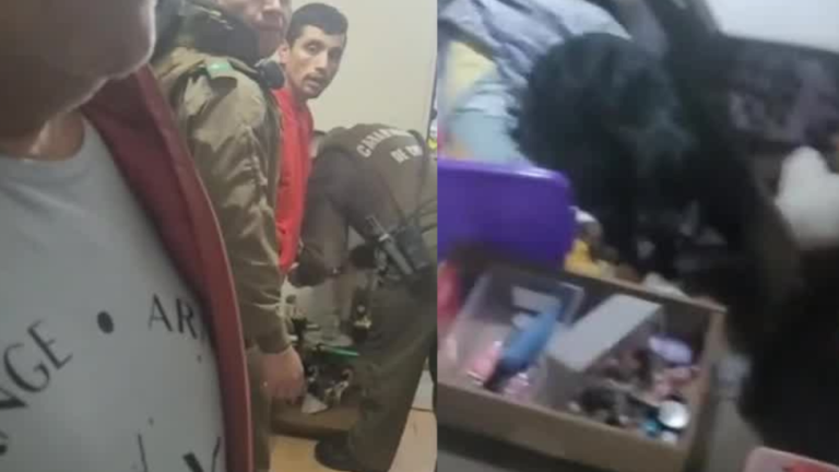 ¡Insólito! Ladrón entró a robar casa y se quedó dormido junto al perro en Valparaíso