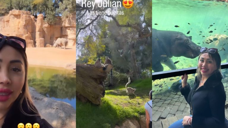 La pena de Naya Fácil en su visita al zoológico de Valencia: 