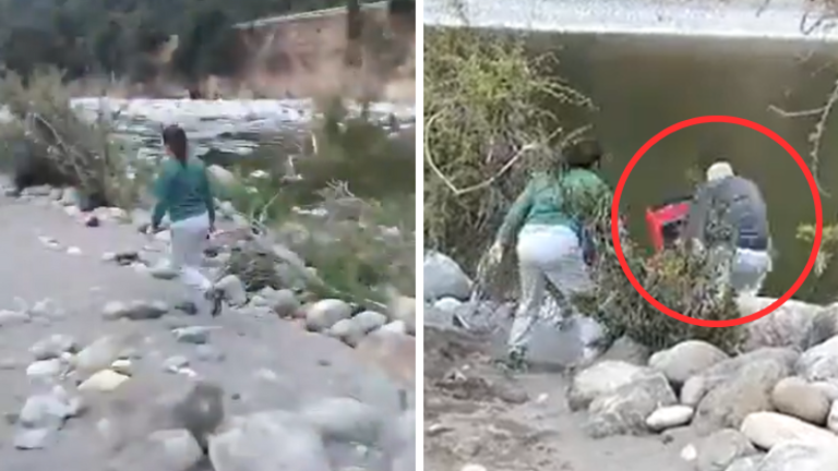 “Don Miguel no está solo”: Mujer empujó a adulto mayor en río de Linares y municipio se querellará