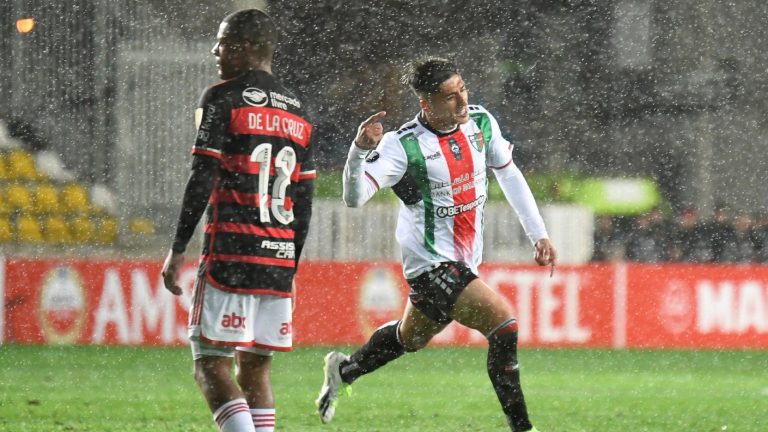 Copa Libertadores: Palestino dio el batacazo ante Flamengo y se metió en la pelea por la clasificación a octavos