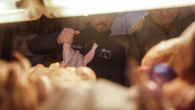 Se han decomisado seis toneladas en la RM: ¿Cómo identificar carnes descompuestas?